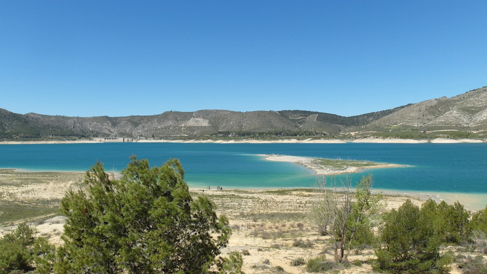 Orilla amplia de un embalse con pinar y tierra clara al fondo