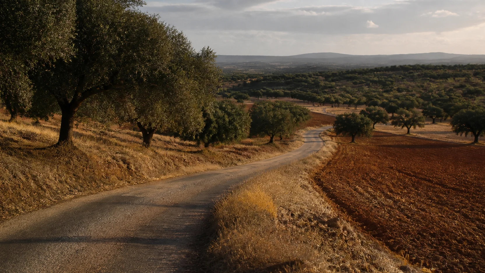 Qué ver cerca de Cuenca: carretera secundaria describiendo una curva entre encinas y campos de labor