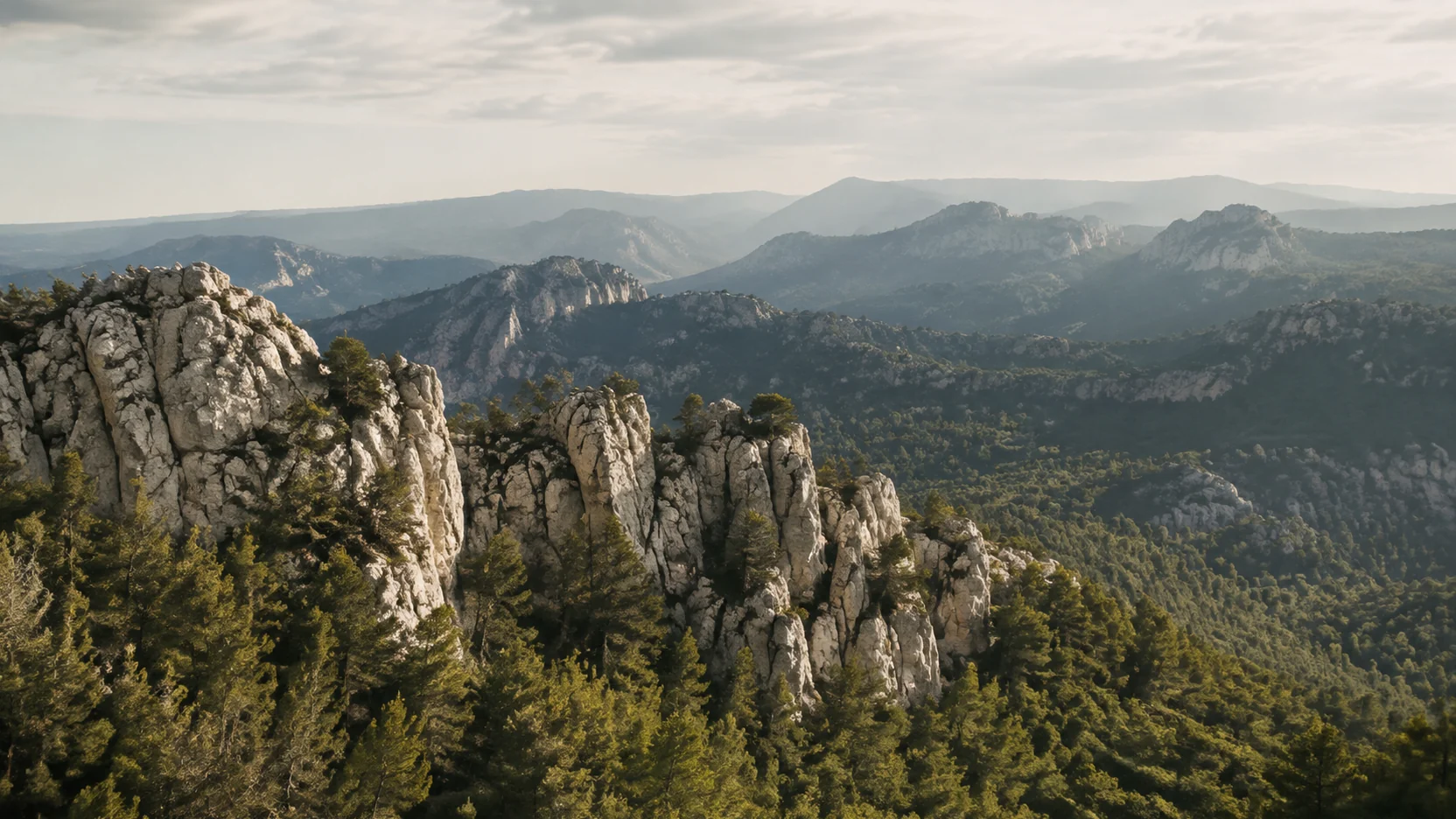 Hoces y pinares de la Serranía desde un mirador, luz de tarde