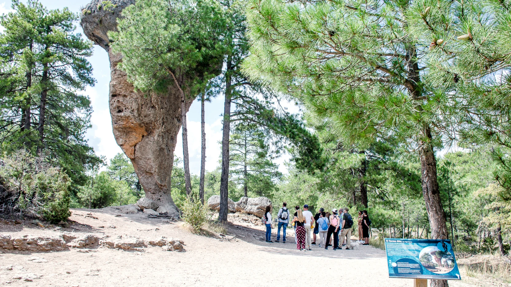 Formación caliza con forma de seta entre pinos, Ciudad Encantada