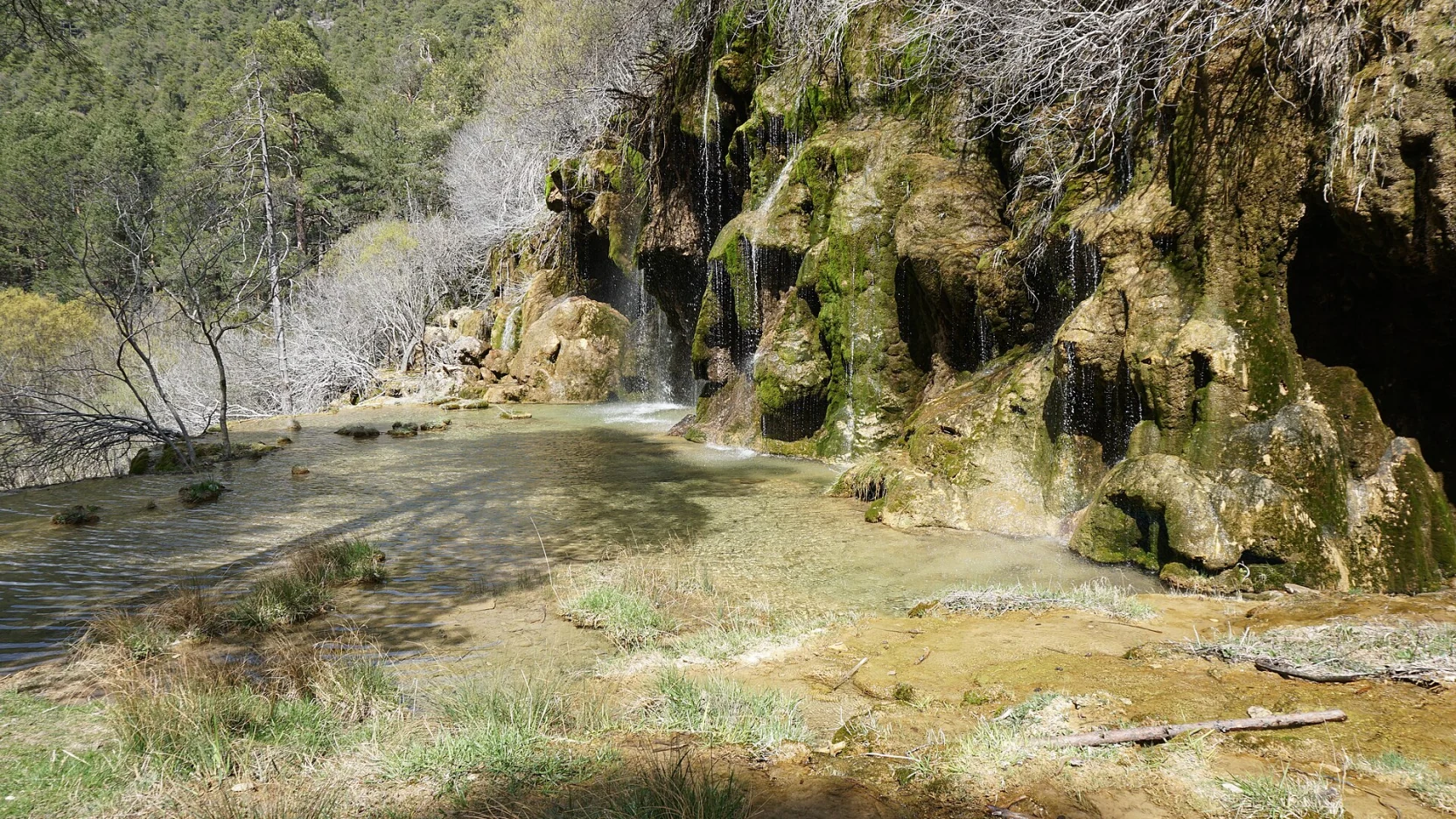 Cascada sobre musgo en el nacimiento del río Cuervo