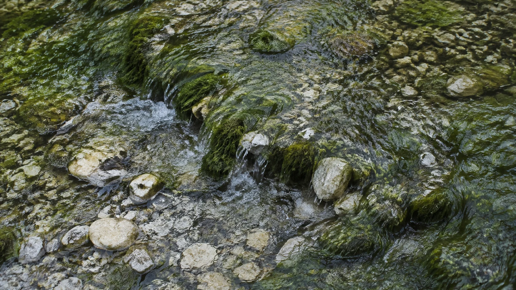 Manantial entre rocas cubiertas de musgo en el nacimiento del río Júcar
