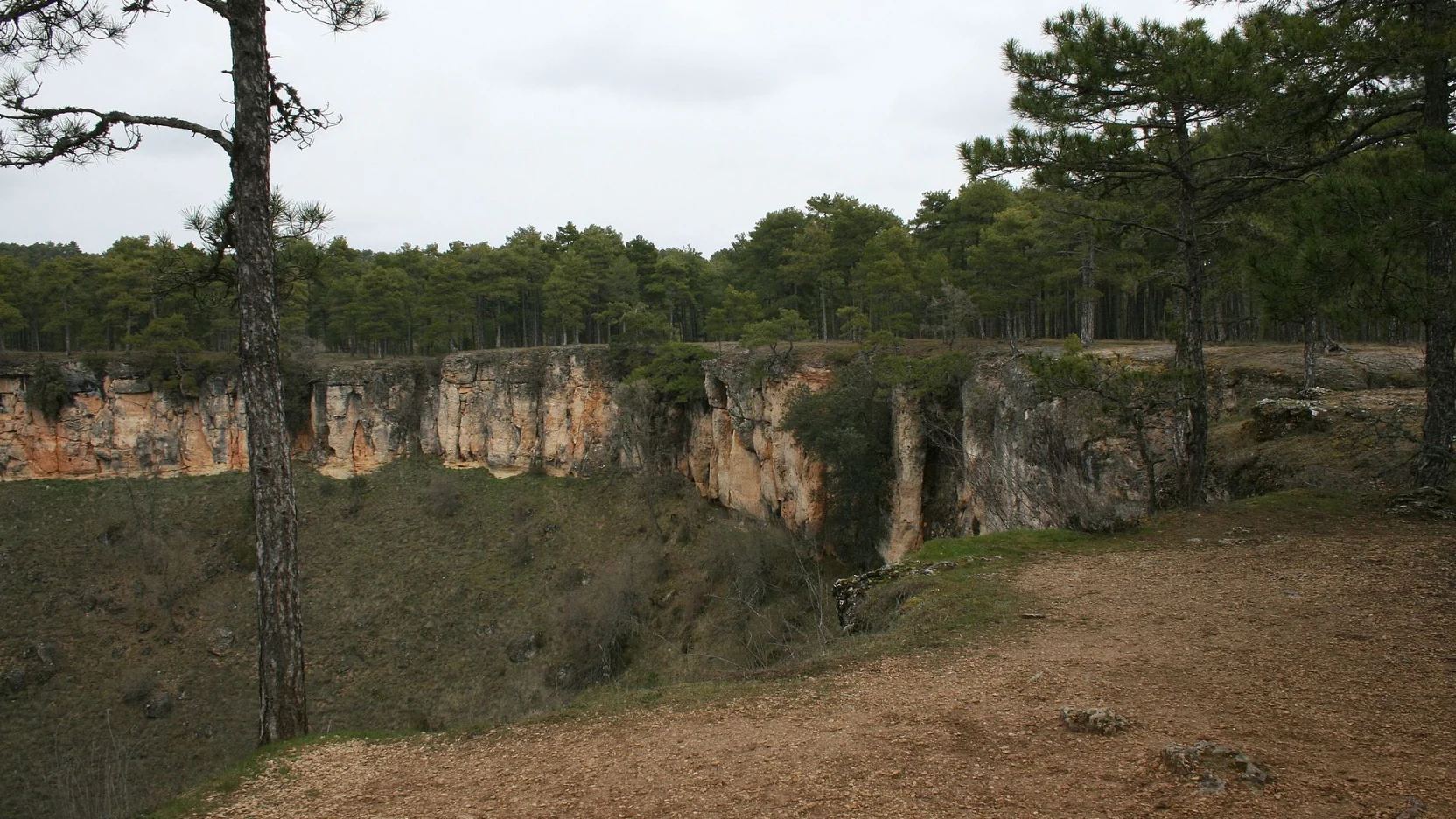Gran dolina circular abierta en el pinar, Torcas de los Palancares