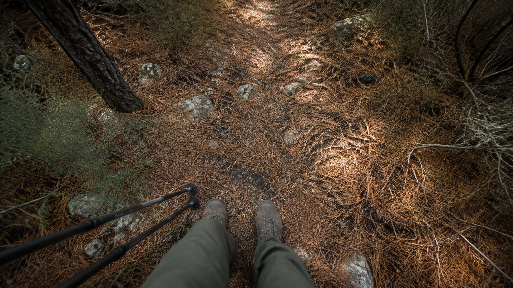 Rutas de senderismo en Cuenca: botas y bastones parados en un sendero de pinocha